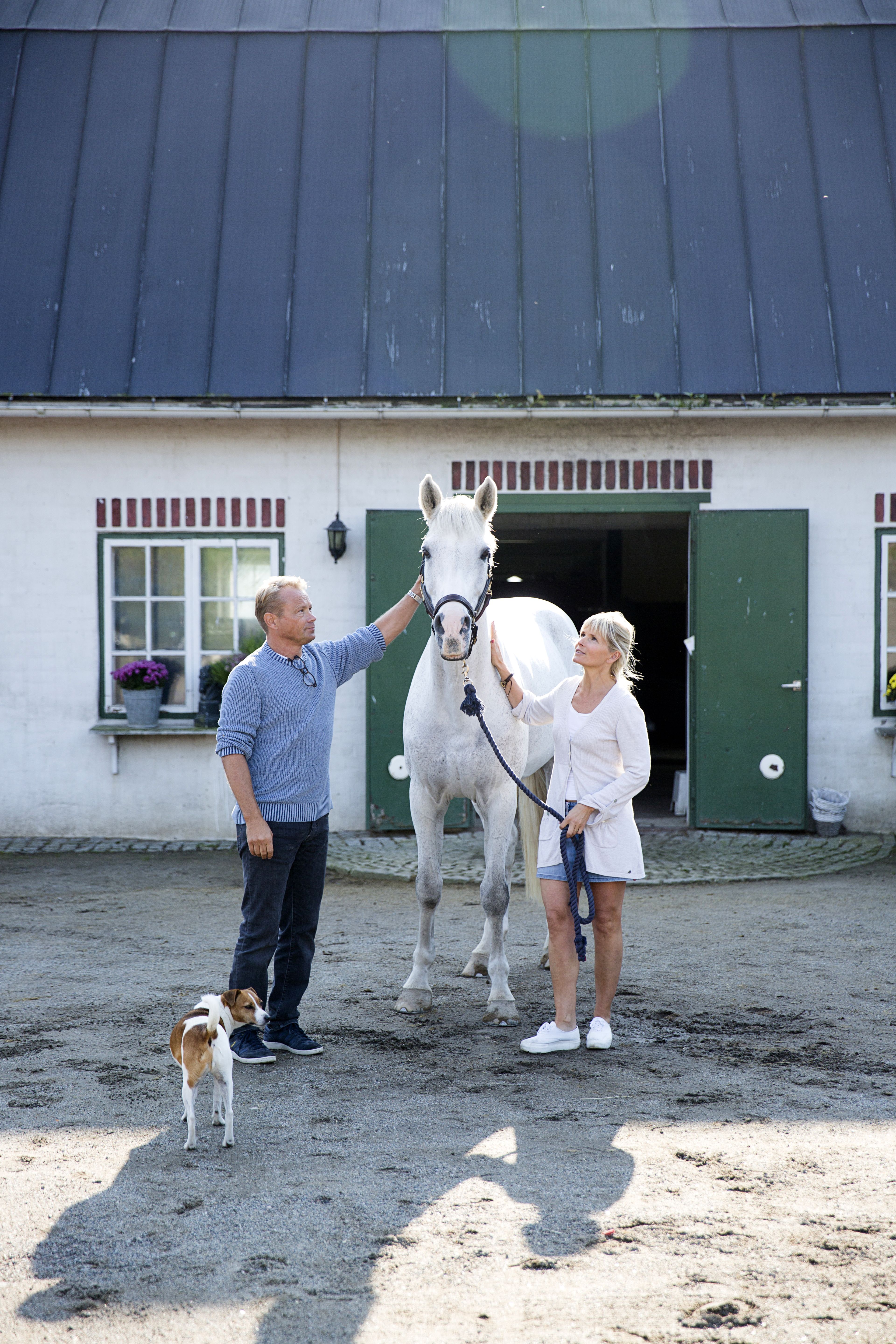 Petri ja Kikka Pesosen tallissa viettää eläkepäiviään Jenni Dahlmanin Maximus-ori.