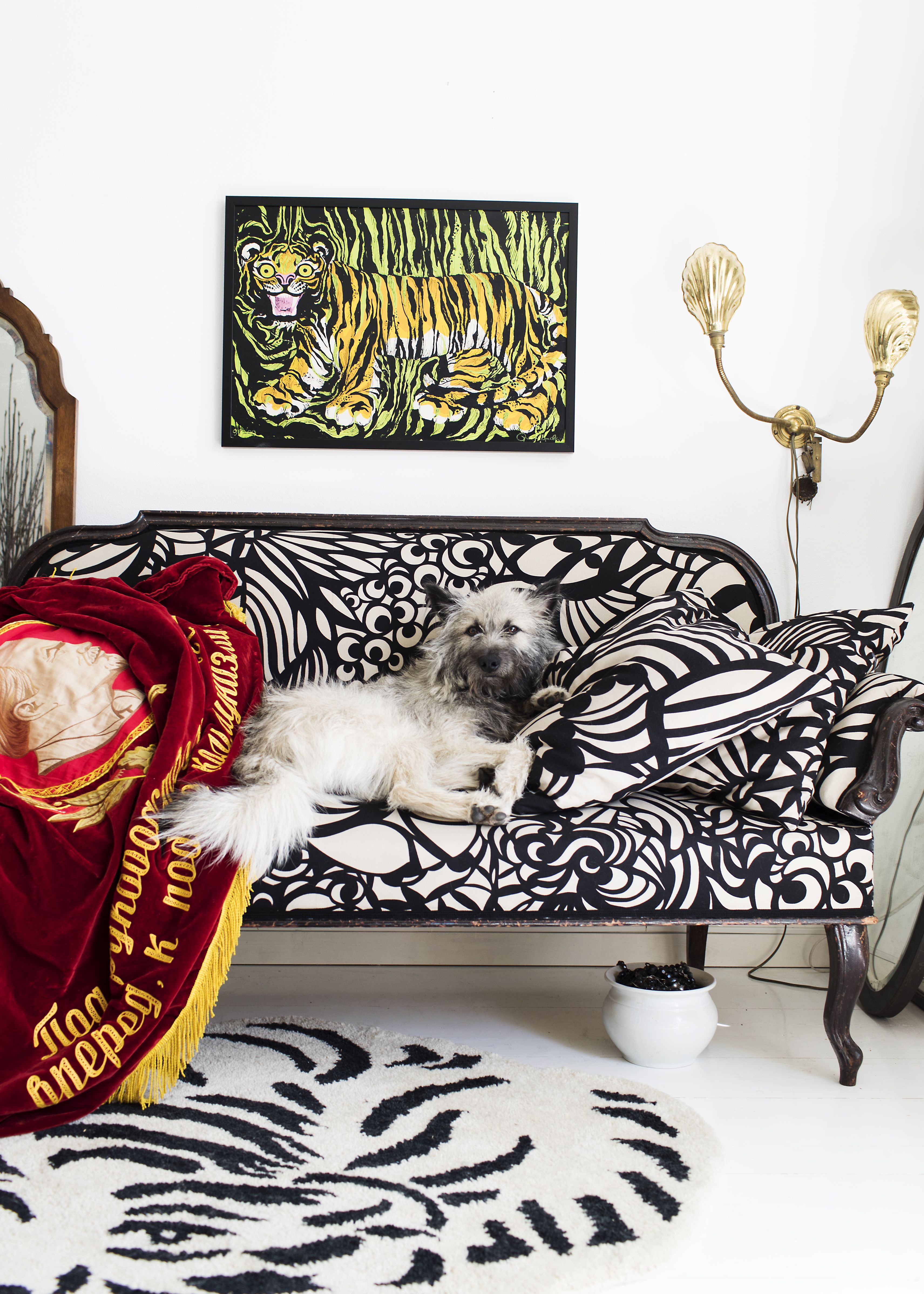 Waltti-koira viihtyy käsikirjoittajaystävä Jenni Toivoniemeltä perityllä sohvalla, jonka Paavo verhoili Marimekolle suunnittelemallaan Raakel-kankaalla. Paavon Mum’sille suunnittelema matto tuli kesällä myyntiin. Se esittää nukkuvaa eläintä.