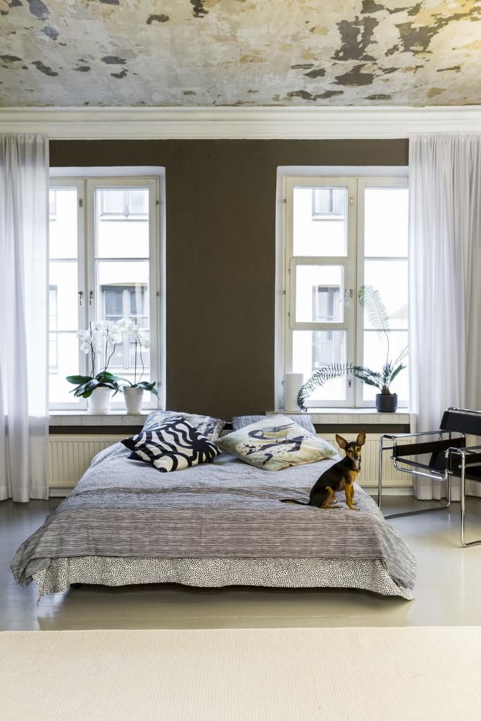 Kodin sydän on pyörillä oleva sänky, jota on helppo siirrellä. Sen Teemu jakaa Australiasta tuomansa kuusivuotiaan prahanrottakoira Jasperin kanssa. Valkoinen villamatto tuo huoneeseen valoa.