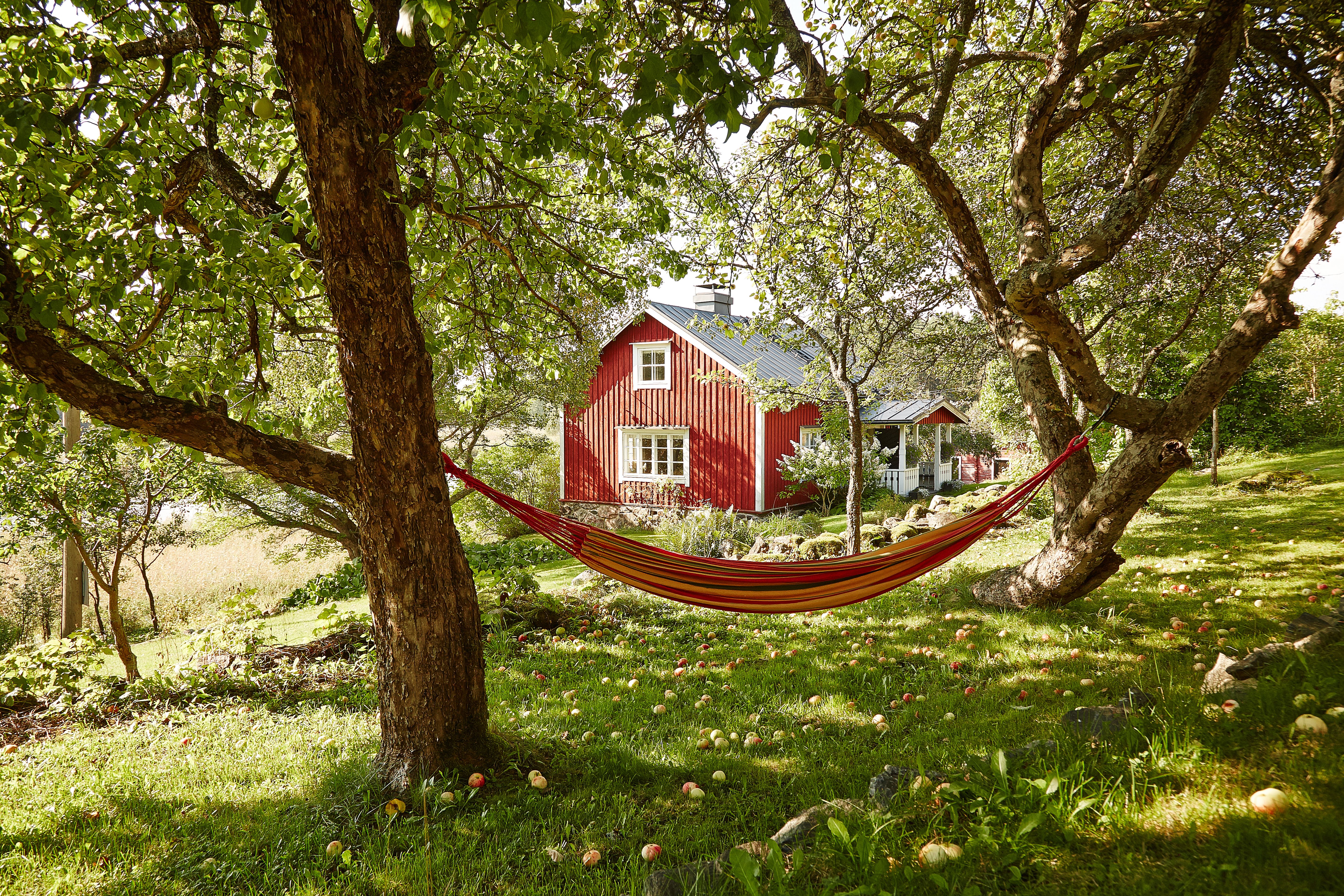 Kesäpaikan päätalo on 150-vuotias kaunotar. Pihapiirissä on myös pikkutalo 1950-luvulta ja kymmenen vuotta vanha aittarakennus. 